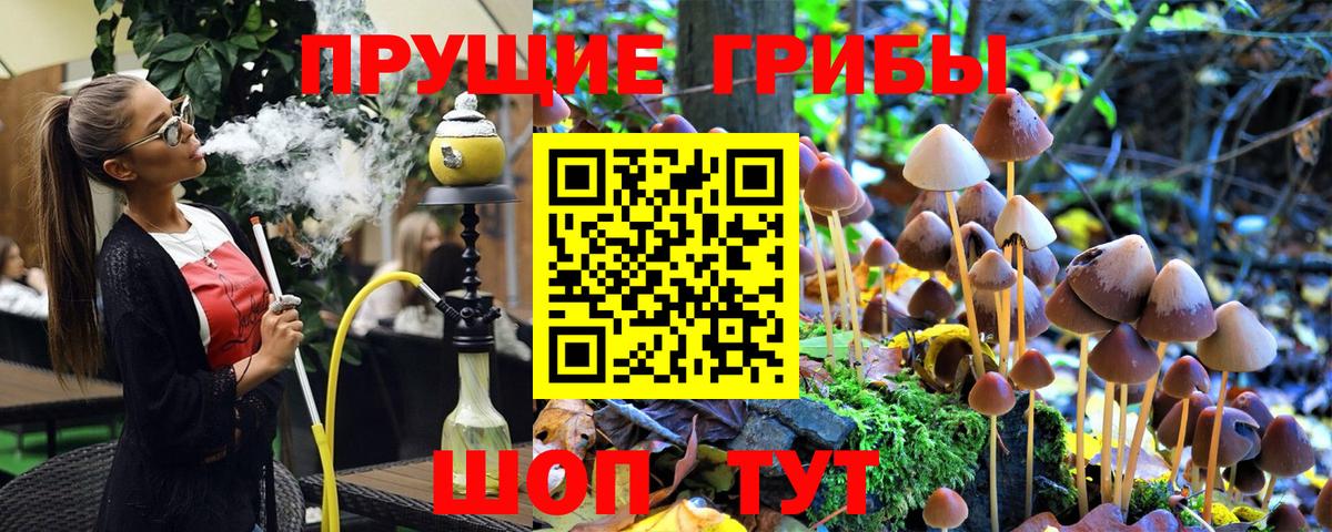Галлюциногенные грибы GOLDEN TEACHER  Вход с VPN  Галлюциногенные грибы Cubensis  цены   Котлас 