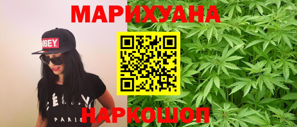 Конопля план  Канабис сатива  Бошки марихуана гибрид  Котлас  Вход с VPN 